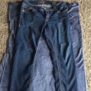 Lane Bryant Classic Melissa McCarthy Seven7 Jeans
